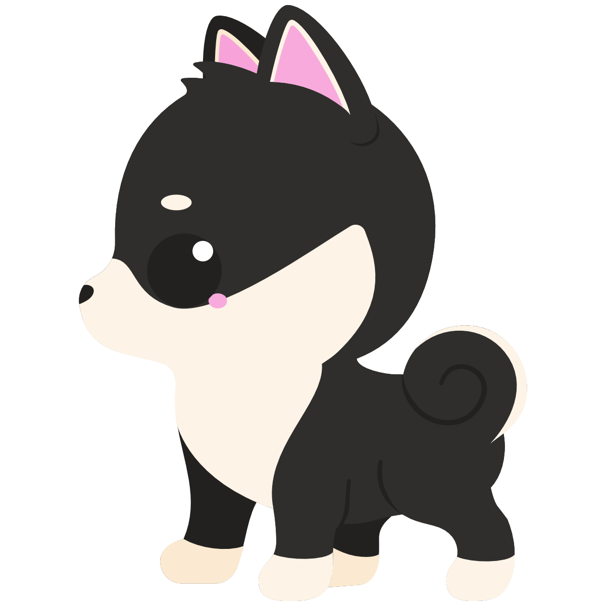 kawaii black shiba inu looking to the side